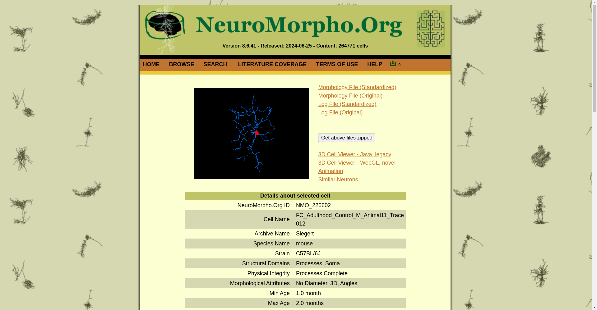 Screenshot of NeuroMorpho.org